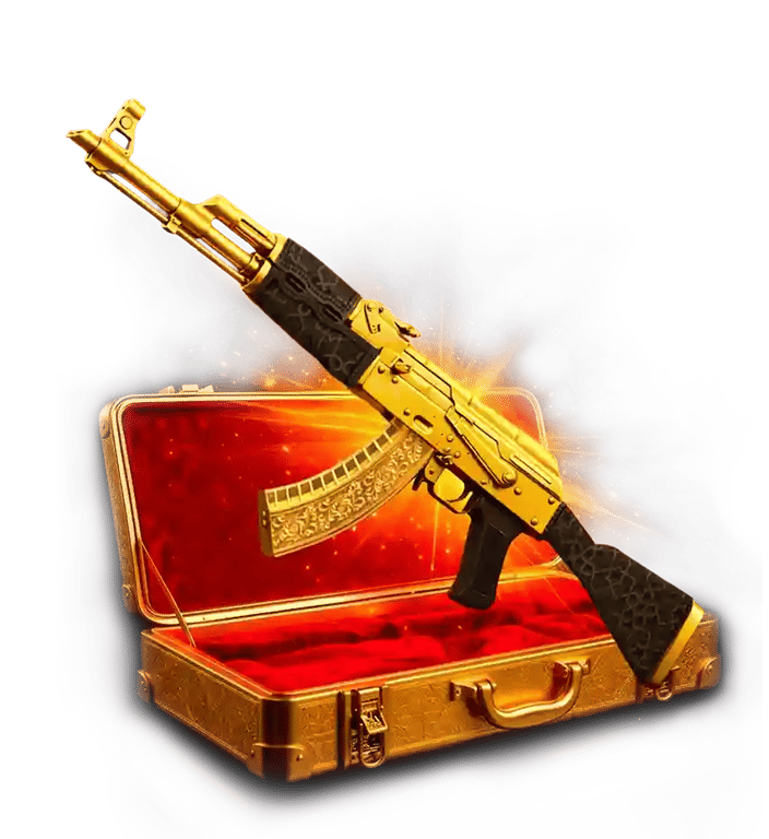 VIP case