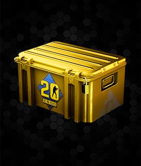 CS20 Case