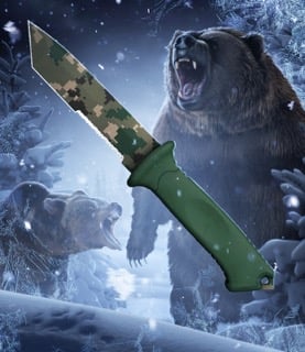 Bear Trails