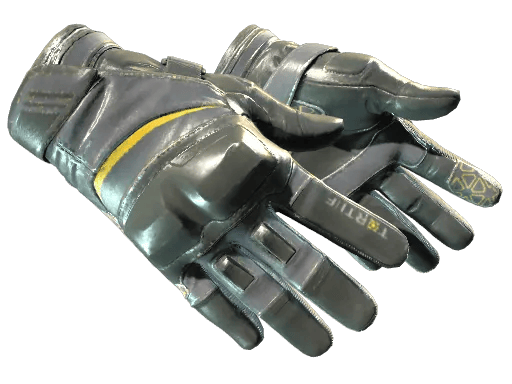 Motorradhandschuhe (★)