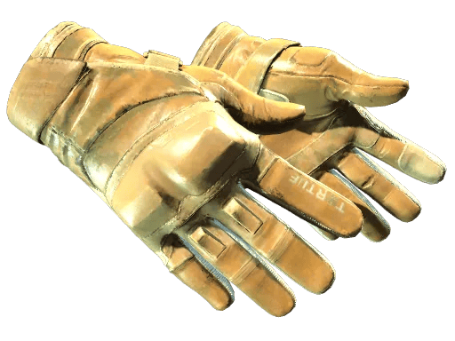 Motorradhandschuhe (★)