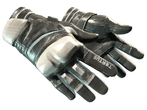 Motorradhandschuhe (★)