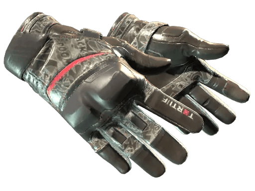 Motorradhandschuhe (★)