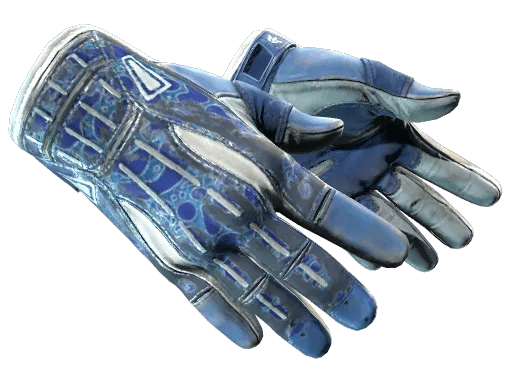 ★ Sport Gloves